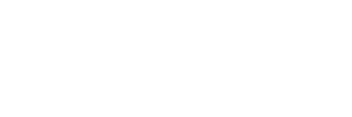 Robust Business Group